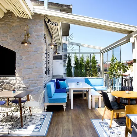 Nowy Efendi - Special Category 4*