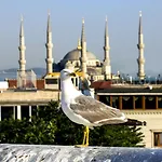 Nowy Efendi - Special Category Hotel