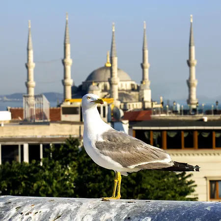 Nowy Efendi - Special Category Otel