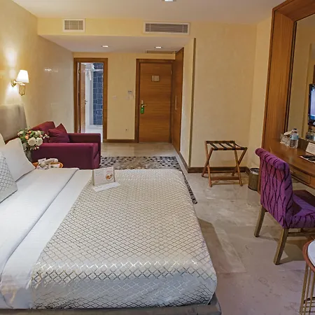 诺维艾芬迪酒店 - 特殊类别