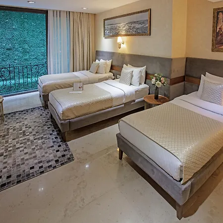 酒店 诺维艾芬迪酒店 - 特殊类别 4*