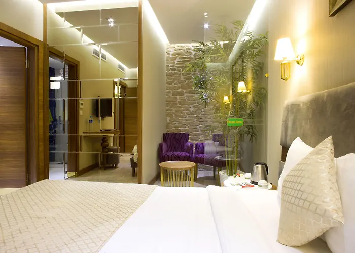 노비 에펜디 - 스페셜 카테고리 호텔 4*