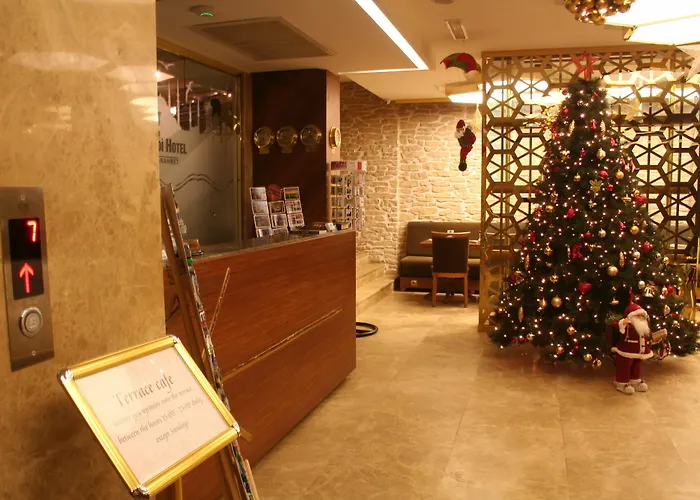 노비 에펜디 - 스페셜 카테고리