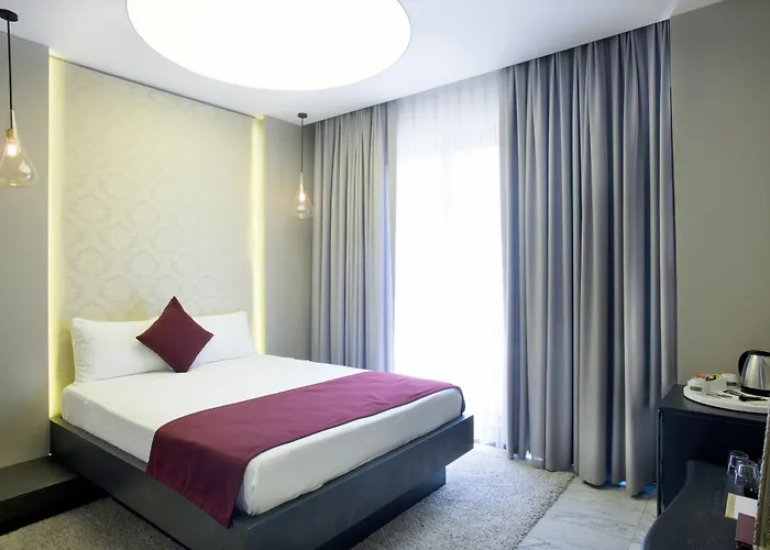 노비 에펜디 - 스페셜 카테고리