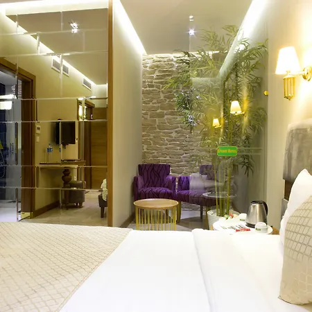 Hotell Nowy Efendi - Special Category Istanbul